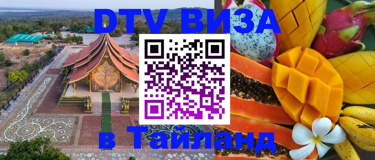 Оформление DTV визы под ключ: стоимость и тарифы, только загранпаспорт - 03.10.2025 